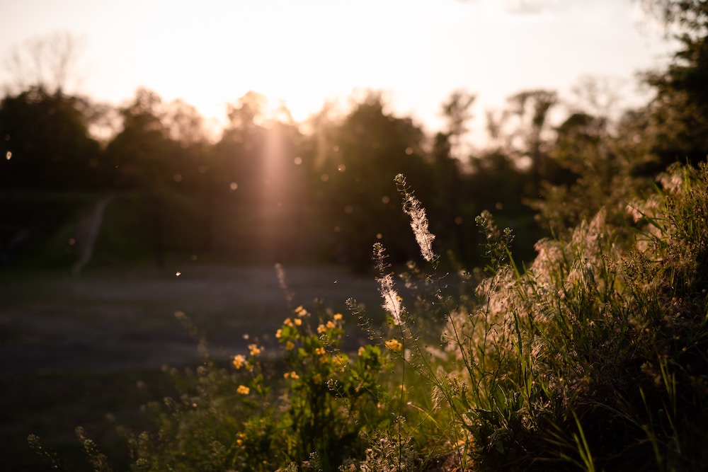 Combatting Seasonal Allergies: Fall Cleaning for a Healthier Home