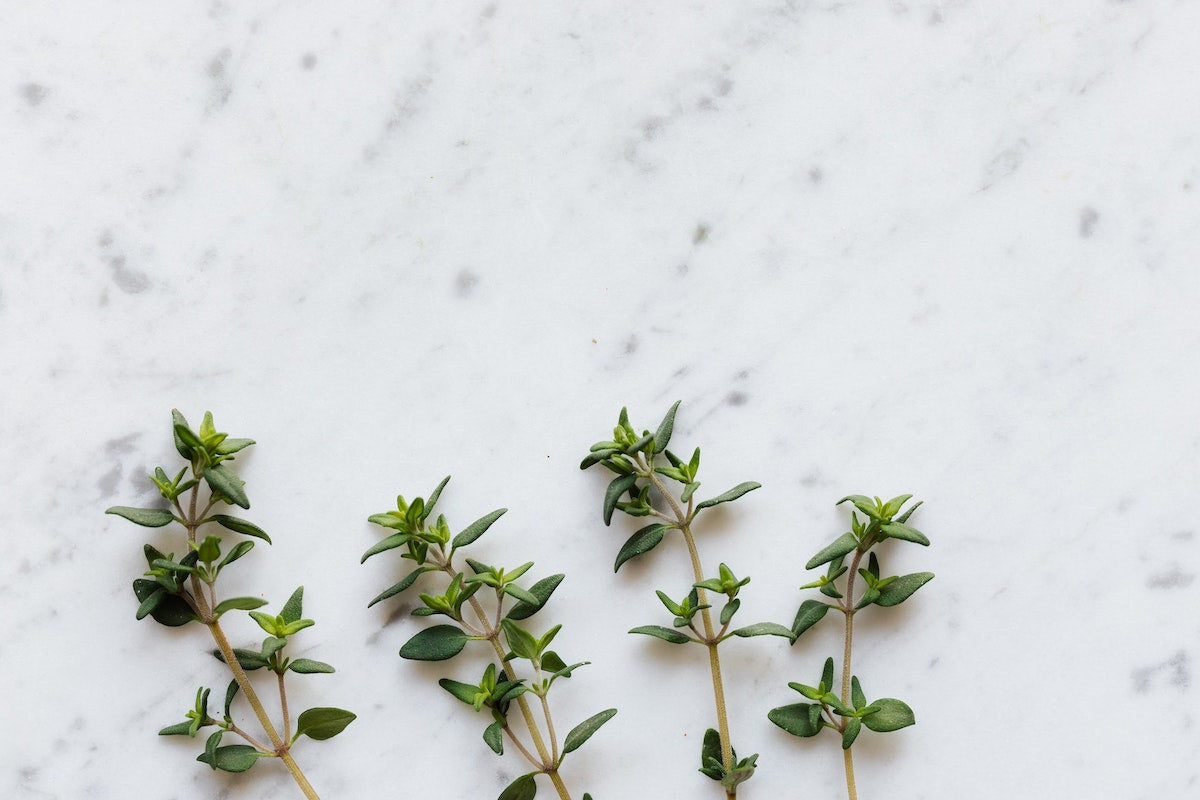 Getting To Know Thymol: The Safe, Botanical Disinfectant For Your Home
