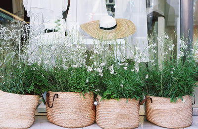 Add A Natural Touch To Your 2022 Spring Cleaning